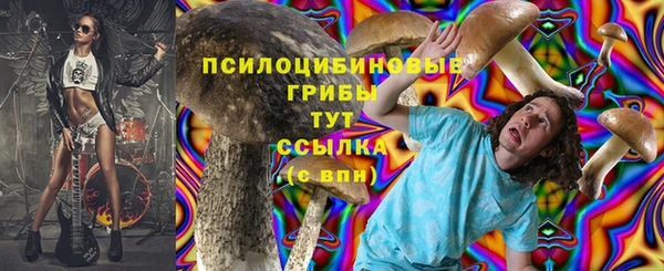 кокаин премиум Богданович